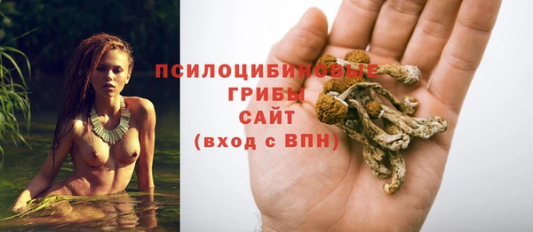 apvp Алексеевка