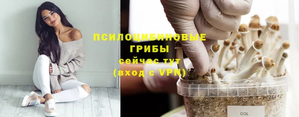 прущая мука Алзамай